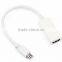 Factory Wholesale 20cm Mini DP Male to HDMI Female Converter Adapter