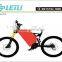 48V 1000W mountain electric bicycle , beach cruiser electric bicycle