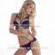 2016 new style bra and panty sexy hot designer bra panty set women set bra underwear