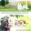 Beauty and Personal Care 24K Beauty Bar Facial Firming vibration