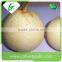2015 fresh bulk ya pear