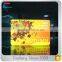 CMYK Printing 13.56mhz NTAG 203 PVC rfid card