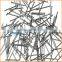 Manufacture high quality low price wood common nail/common iron nail/polished common nail factory nail