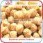 Soya Nuggets Food Machine