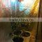 PVC Free Greenhouse hydroponics indoor grow tent grow room 100*100*200cm