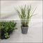 Artificial Table Decorative Potted Small Grass Plant