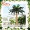2015 Artificial 3-30m Indoor or Outdoor Home Date Palm Tree,artificial Tree,artificial Plant