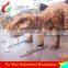 Most Popular Lifelike Dinosaur Costume For Sale From ZiGong