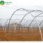 Hot Sale Commercial Polycarbonale Small Single Span Greenhouse