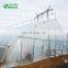 Top Quality Tunnel Plastic Greenhouse Film Agriculture