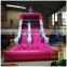 Outdoor Children Amusement Park Octopus Theme Inflatable Slide With Pool On Sale