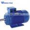 y2 Series Three Phase Electric Motor for Food Processor