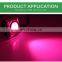 Full Spectrum COB Grow Light 60w High Luminous Efficiency Growing Lamp for Plants COB  for Indoor Greenhouses