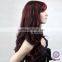 W3293 Indian Remy Hair Wig , Afro Curly Hair Wig For Black Women
