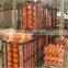 Hydraulic cylinder SANY SY200C boom cylinder,SANY SY200C6M arm cylinder,SANY SY205C-8 bucket cylinder