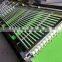 Stainless steel olive sorting machine, dates sorting machine, cherry sorting machine