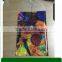 Folder shape and document bag type plastic envelope bag