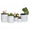 Black & White Nursery Pots PE Plastic Seedling Plant Grow Bags with Breathable Holes Rooting Bags Poly Grow Bags