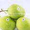 2016 Su pear