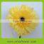 Diversified in packaging hot sale flower single stem blue gerbera