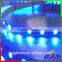 2015 new led strip RGBW led strip DC24V DC12V 60led/m 300led/5m