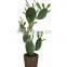 High Quality Decorative artificial cactus