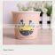 Mini Ceramic Mug Ceramic Ice Cream Cup
