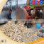 Electrical type cassava machine of cassava peeler and chipper save labor cost