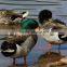 full body floating duck decoys for hunting decoy duck