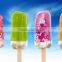 Commercial Ice lolly making machine / Popsicle Making Machine 003