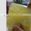 Shanghai FLY china supplier economical self adhesive pvc film roll pvc cold lamination film with good price