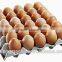 new condition paper egg tray making machine /Paper Egg Tray Machine / Egg Tray Forming Machine /carton box making machine