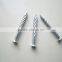 Zinc-coated Screw nails