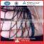 China agricultural plastic net hdpe anti bird net