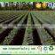 Hot sell pp spunbond non-woven fabric ,low price high quality , weed control non woven fabric