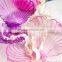 newest productscolorful shell house wedding candy