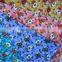 Super Quaity Customized Printed 100% Rayon Fabric