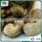 Cambodia For Sale Cashew With Shell