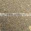 Millet Seeds pearl millet bajra new 2015