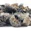 Dried Amla Fruits