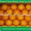 tropical fruits names of Fresh Navel Orange mandarin