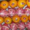 delicious taste Fresh Egyptian Orange...high quality navel orange