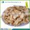 angelica sinensis root