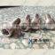 socket set screws Inconel 2.4816