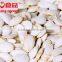 Fresh style snow white pumpkin seeds