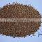 Bulk Gardening Silver Granular Expanded Vermiculite From Factory Price