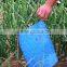 blue stick card for trapping insect (with pheromone coated)