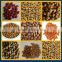 Fully automatic dry pet dog food pellet extruder machine production line