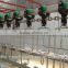 live chicken slaughter Poultry Killing And Bleeding And Processing Automatic Conveying System of poultry slaughter line