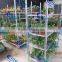 transport roller trolley/ plant cart / flower cart